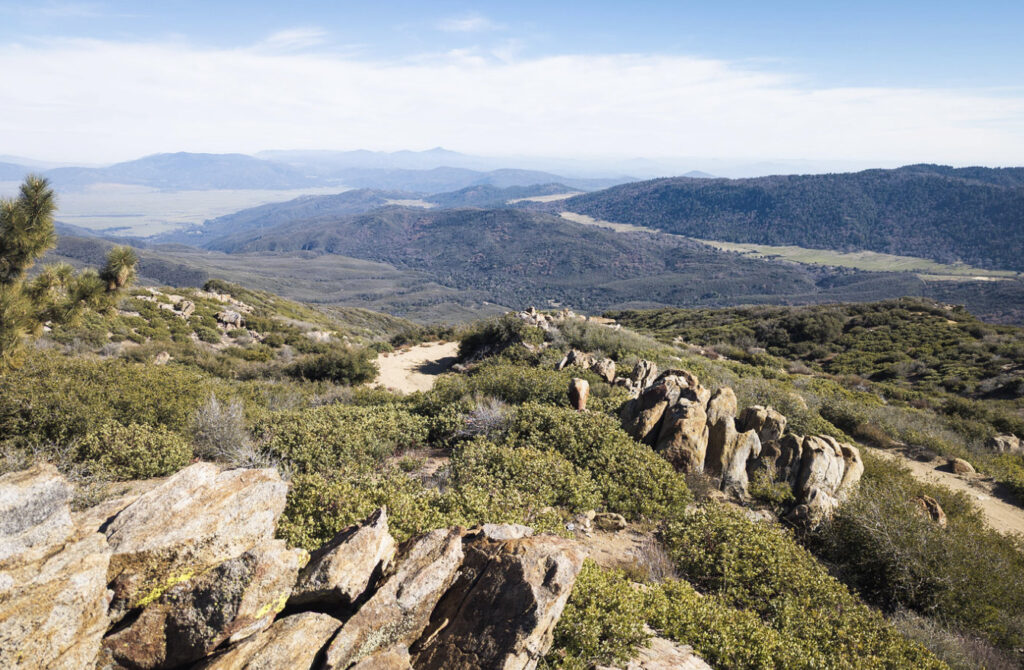 san diego van camping trip to Palomar Mountain campground