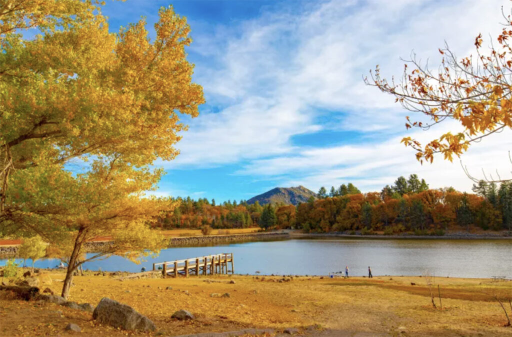 Discover everything you need to know about camper van rentals in San Diego—where to camp, what to pack, and top road trip ideas for your next adventure. 