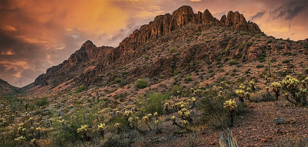 Kofa National Wildlife Refuge mountains view for camper van rental road trip