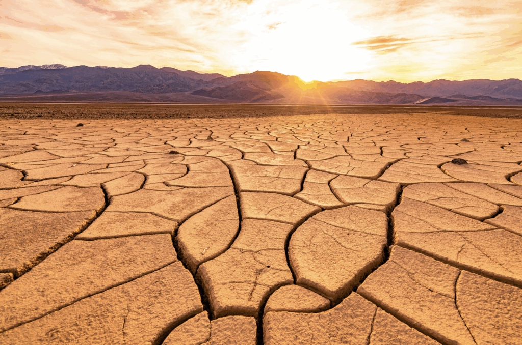 rent a van and explore kid friendly national parks