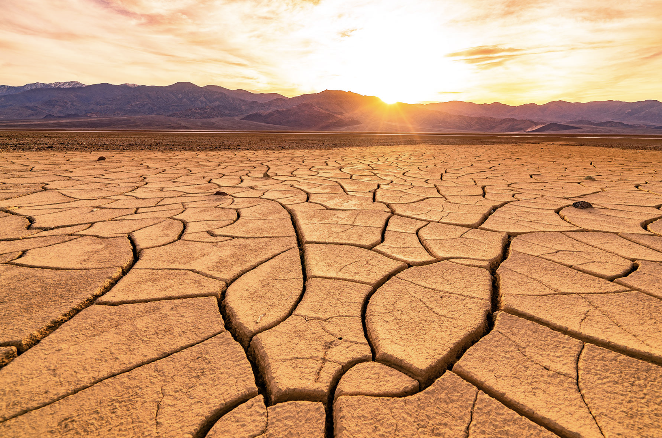rent a van and explore kid friendly national parks