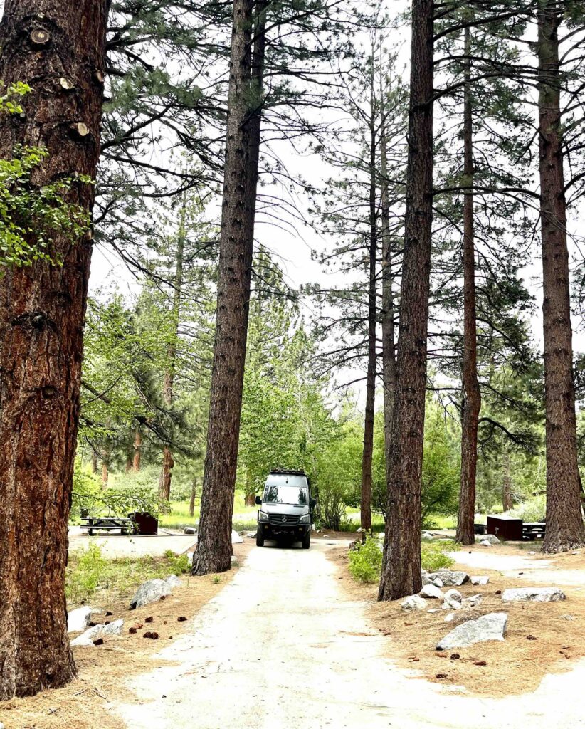 site 4 at Big Pines Creek campground in eastern sierras