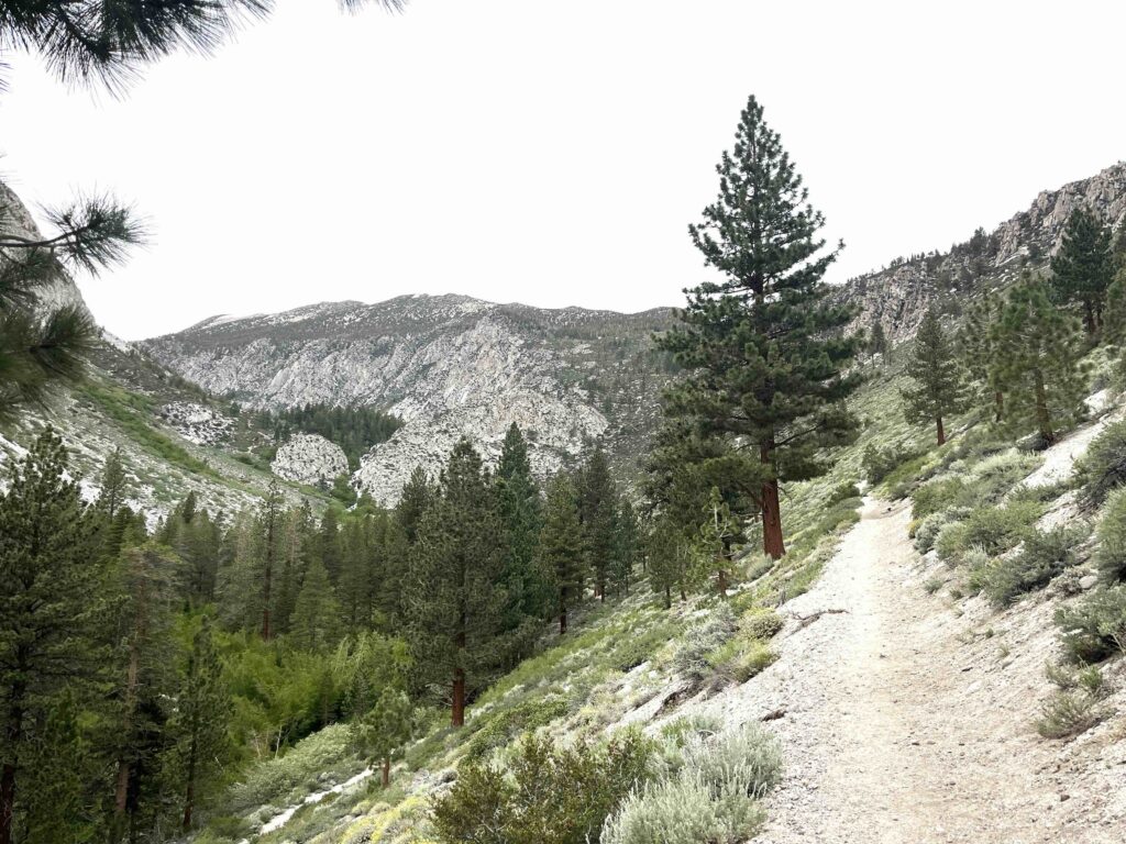 Middle of the Big Pine Lakes hike